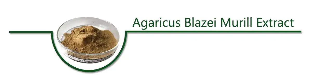 Agaricus Blazei Murill Extract powder.jpg